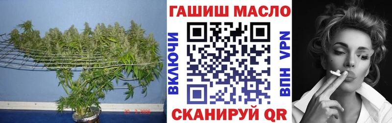 blacksprut Грайворон Дистиллят ТГК вейп